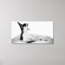 Recherche de de diva art Drôle