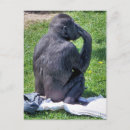 Recherche de animaux humoristiques cartes postales Photographie