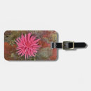 Recherche de lingot accessoires Nudibranch