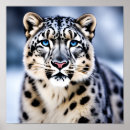 Recherche de taches de léopard posters Faune