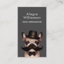 Recherche de grooming cartes visite Assise