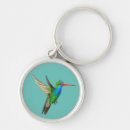 Recherche de colibri porteclés Illustration