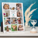 Recherche de photo animaux mémoriaux Sympathie