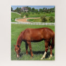 Zoek naar paarden puzzels Hek