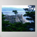 Zoek naar gelden posters Foto