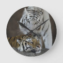Recherche de tigre blanc horloges Noir