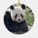 Recherche de bonjour ornements Mignon