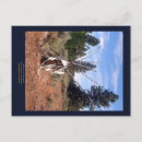 Recherche de prarie Prairie