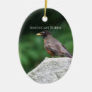 Recherche de merle ornements Oiseaux