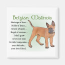 Recherche de malinois magnets Chien