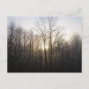 Recherche de fog cartes postales Nature