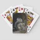 Recherche de écureuil jeux de cartes Animal