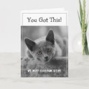 Zoek naar pow kaarten Grappig