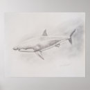 Zoek naar haai tekening posters Grote witte haai