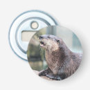 Recherche de loutre ouvre bouteilles Mignon