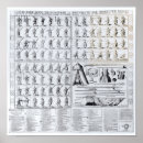 Zoek naar musketiers posters Print