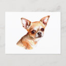 Recherche de de chihuahua cartes postales Dog