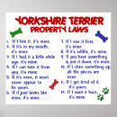 Recherche de yorkshire terrier posters Drôle