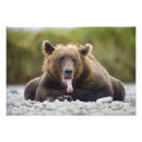 Zoek naar luie dag posters Grappig