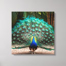 Zoek naar peacock feather kunst Groen