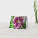 Zoek naar viooltje bloem kaarten Bloemen