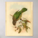 Zoek naar geel zwart posters Vogel