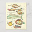 Recherche de poissons colorés cartes postales Vintage