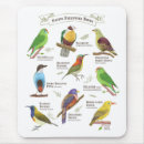 Recherche de philippin tapis souris Oiseaux