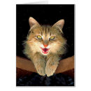 Zoek naar gekke notitiekaarten Schattig