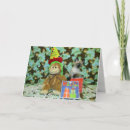 Zoek naar siamese kat kaarten Foto