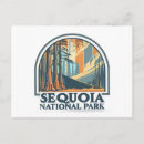 Zoek naar sequoia briefkaarten Sequoia nationaal park