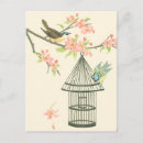 Recherche de petit oiseau cartes postales Fleur