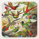 Recherche de haeckel dessous de verres Colibri