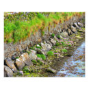 Recherche de paysage irlandais posters Nature