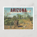 Zoek naar vintage arizona briefkaarten Cactus