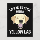 Recherche de labrador jaune cartes postales Animal de compagnie