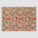 Zoek naar voedsel tissue papier Koekjes