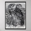 Zoek naar zwarte witte uil posters Vintage