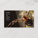 Recherche de arachnide cartes visite Déplaisant