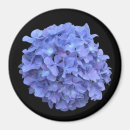 Recherche de grande fleur magnets Pétales