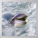 Recherche de amant animal posters Nature