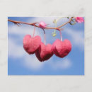 Recherche de nuages blancs cartes postales Rose