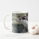 Recherche de mustelid tasses Loutre