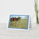 Zoek naar ezels fotografie Dieren