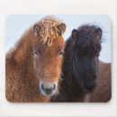 Recherche de atlantique tapis souris Animal