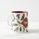 Recherche de chouettes tasses Oiseau