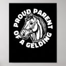 Recherche de geldings posters Cheval