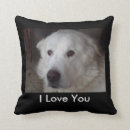 Recherche de pyrénées coussins Chien de grands pyrénées