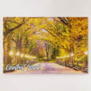Zoek naar new york central park puzzels Fotografie