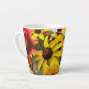 Recherche de aster tasses Botanique